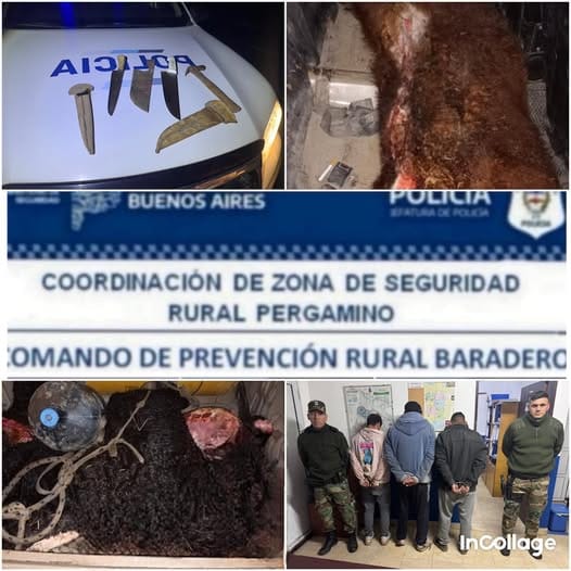 DETUVIERON A TRES BARADERENSES POR TRANSPORTAR ANIMALES FAENADOS